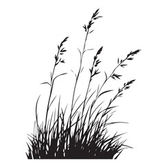 silhouette cattails reeds wild grass river bank swamp coastal plants 
