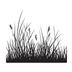 silhouette cattails reeds wild grass river bank swamp coastal plants 
