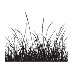 silhouette cattails reeds wild grass river bank swamp coastal plants 
