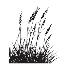 silhouette cattails reeds wild grass river bank swamp coastal plants 
