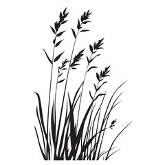 silhouette cattails reeds wild grass river bank swamp coastal plants 
