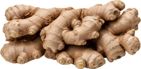 A pile of textured fibrous brown ginger roots with visible segments and small yellow buds isolate spice