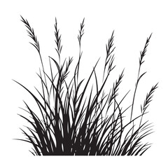 silhouette cattails reeds wild grass river bank swamp coastal plants 
