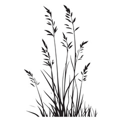 silhouette cattails reeds wild grass river bank swamp coastal plants 
