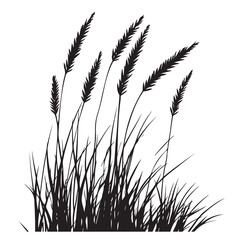 silhouette cattails reeds wild grass river bank swamp coastal plants 
