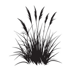 silhouette cattails reeds wild grass river bank swamp coastal plants 
