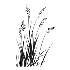 silhouette cattails reeds wild grass river bank swamp coastal plants 
