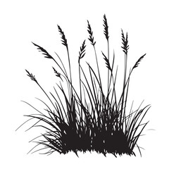 silhouette cattails reeds wild grass river bank swamp coastal plants 
