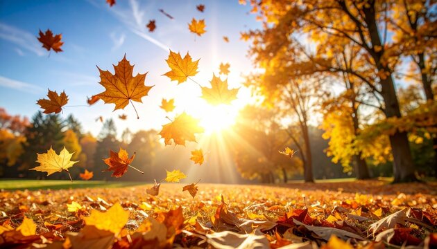 "Golden autumn leaves drifting through sunlit trees, blanketing the ground in warm hues—evoking seasonal change, nostalgia, and nature’s quiet poetry."
