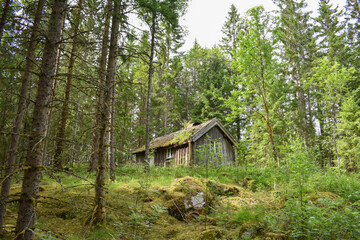 Eine Verfallene Holzhtte Steht Mit