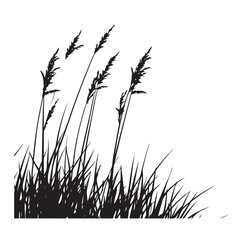 silhouette cattails reeds wild grass river bank swamp coastal plants 
