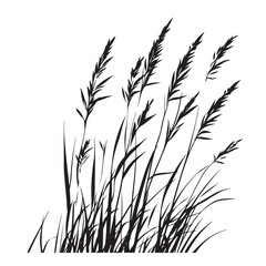 silhouette cattails reeds wild grass river bank swamp coastal plants 
