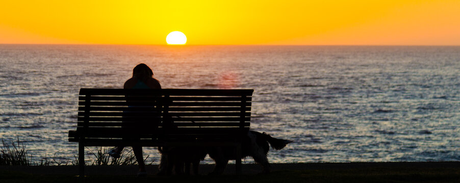 Person with dog on a bench looking at the sunset - Powered by Adobe