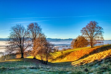 Naklejka premium Scenic landscape with trees, fog, and mountains.