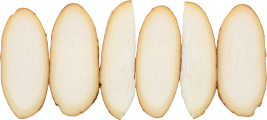 Six king oyster mushroom slices displayed in a row showcasing their pale flesh and brown edges edible mushroom transparent background