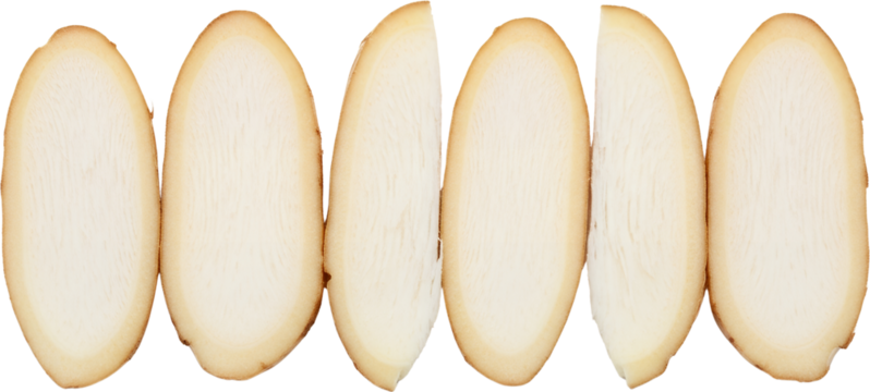 Six king oyster mushroom slices displayed in a row showcasing their pale flesh and brown edges edible mushroom transparent background