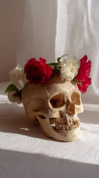 An ethereal skull crowned with vibrant roses, evoking Dia de los Muertos, memento mori's cryptic dance against sunlight
