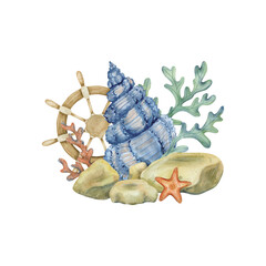 A marine composition with a blue shell, a wooden ship's rudder, a red starfish, algae and underwater rocks.  Watercolor illustration.
