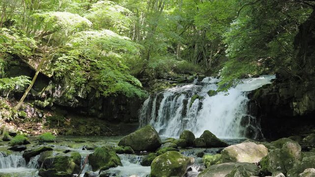 Sacred Waterfall Filled with Crystal Clear Water Deep in the Virgin Forest  |  Tateshina Otaki Waterfall,  Nagano, Japan