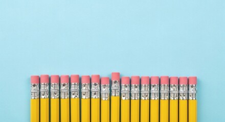 Bright Overhead Row of Yellow Pencils with Pink Erasers Still Life