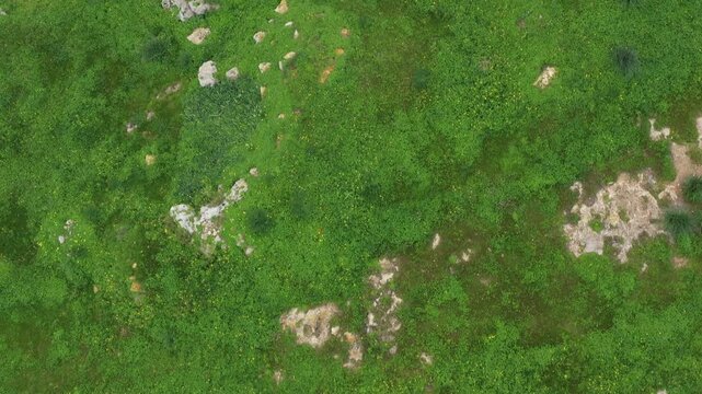 Drone shot of Ggantija Archaeological Park in Gozo with ancient stone temple ruins on green land