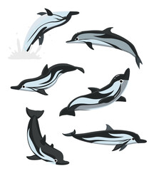 Striped Dolphin Poses Jumping Set Cartoon Vector