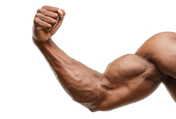 Muscular arm of a fit man flexing his bicep in a powerful pose on transparent background