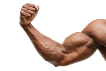 Muscular arm of a fit man flexing his bicep in a powerful pose on transparent background