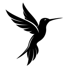 Hummingbird vector clean black silhouette design white background