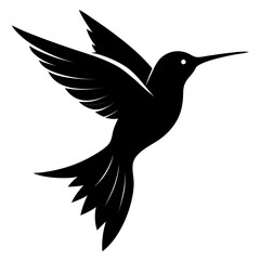 Hummingbird vector clean black silhouette design white background