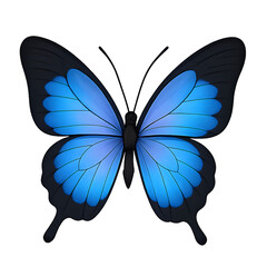 Glowing blue butterfly wings illuminated against a black background