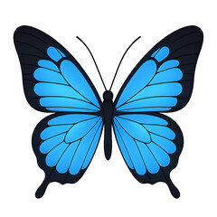 Vibrant blue butterfly with intricate wing patterns on a black background