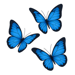 Four vibrant blue butterflies in flight against a black background