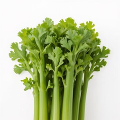 bunch of fresh green parsley