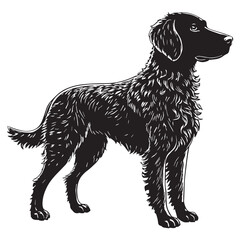 black spanish Silhouette Vector, High Quality Illustration on White Background