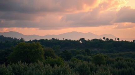 Obraz premium Sunset view with dark clouds mountain range and lush trees in the foreground