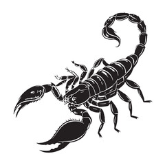 black scorpion Silhouette Vector, High Quality Illustration on White Background