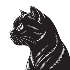 black scottishfold Silhouette Vector, High Quality Illustration on White Background