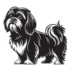 black shihtzu Silhouette Vector, High Quality Illustration on White Background