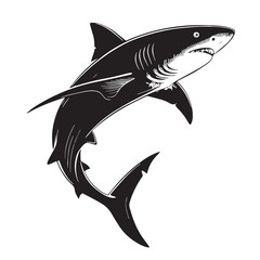 black shark Silhouette Vector, High Quality Illustration on White Background
