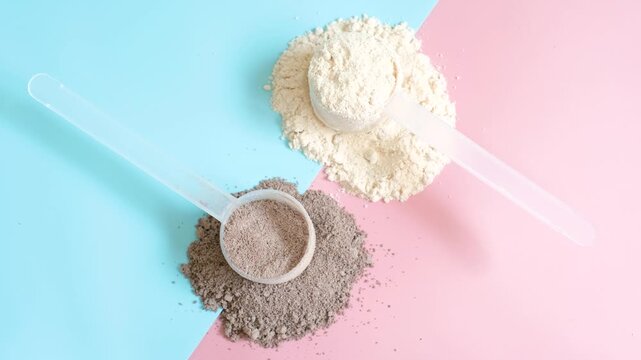 Vanilla and chocolate protein powder in scoops on pink and blue background close-up top view.