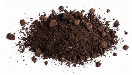 cocoa powder on white background