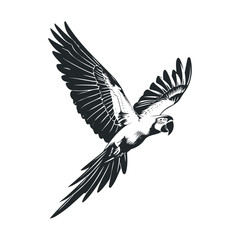 Naklejka premium Black and white sketch of a parrot in flight with detailed wing spread