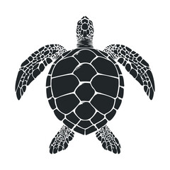 Fototapeta premium Stylized black and white sea turtle illustration with detailed shell patterns