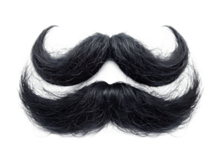 Black curly mustache beard isolated on white background