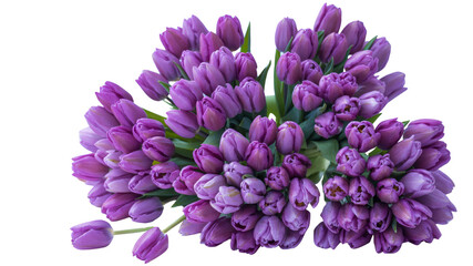 Abundant Bouquet of Purple Tulips A Vibrant Floral Display