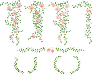 장미꽃 넝쿨 덩굴