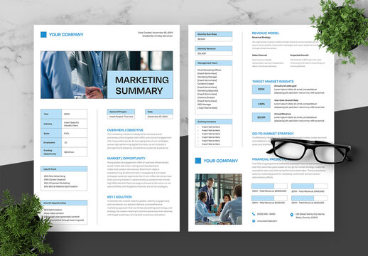 Blue And Black Marketing Summary Flyer