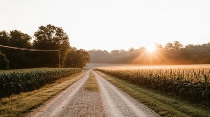 Naklejka premium Rural road at dawn, captivating sunrise illuminating a gravel path through cornfields and distant