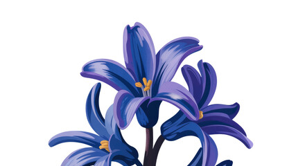 Vibrant Blue Hyacinth Flowers - Close-up Botanical Illustration